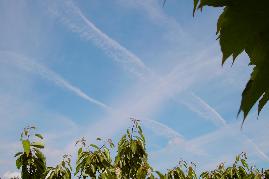 Gitterstruktur aus verschieden alten Flugbahnen. Dunstwolken entstammen den ltesten Flugspuren