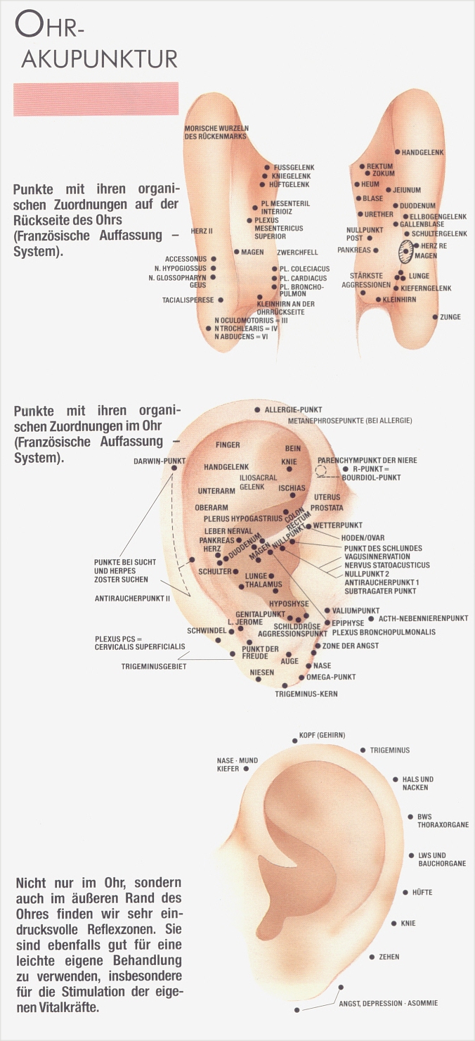 Ohr-Akupunktur (frz. System)