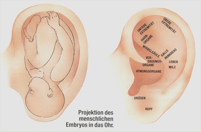 Reflexzonen am Ohr