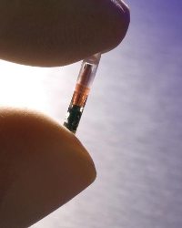 VeriChip von ADS, Reiskorngro im Schutzbehlter